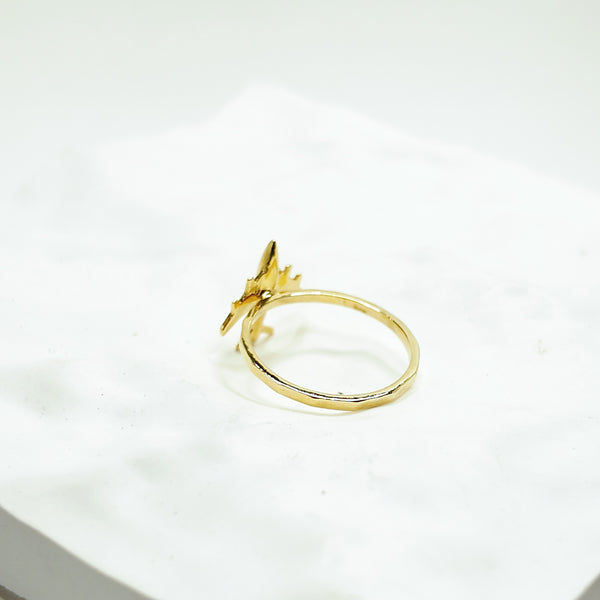 Airborne Atlas Airplane Ring