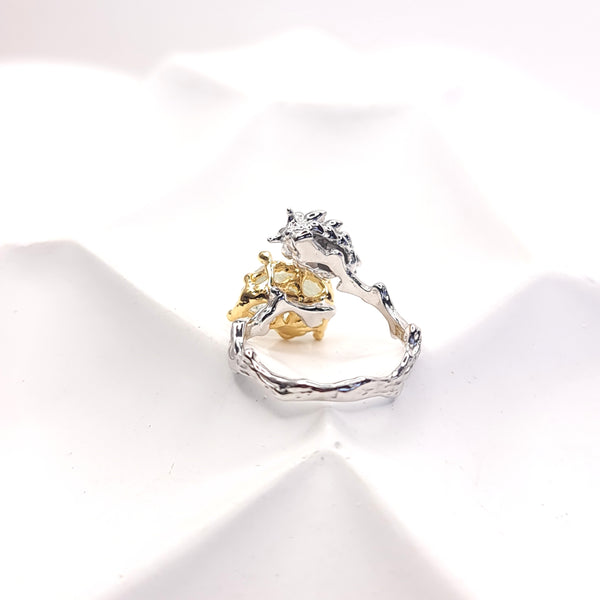 Matilda Nudibranch and Raw Aquamarine Open Ring