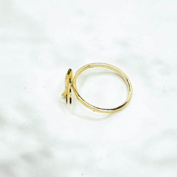 Airborne Atlas Airplane Ring