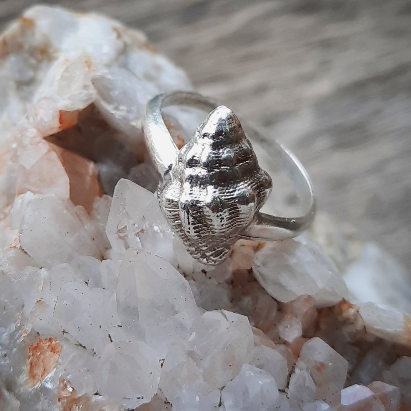 Mermaid Treasures Seashell Ring